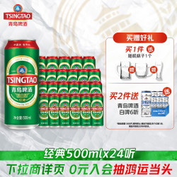 青岛啤酒 经典10度啤酒