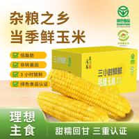 雁门清高 低脂  山西忻州 黄甜糯玉米5斤