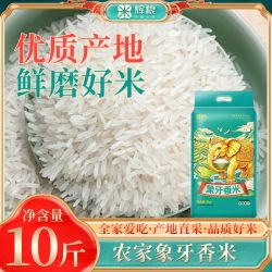 辉粮10斤正宗象牙米长粒香大米当季新米香米丝苗米煲仔饭批发5kg