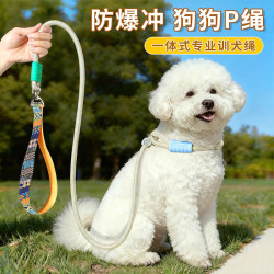 光多拉 宠物P绳 1.5米 中小型犬牵引绳