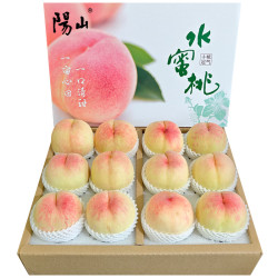 阳山 水蜜桃 一级果 3-4两 12个礼盒装