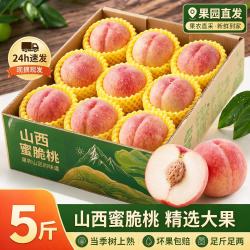 京世泽 蛋枣水蜜桃 净重4.5斤起 单果2两起 新鲜水果