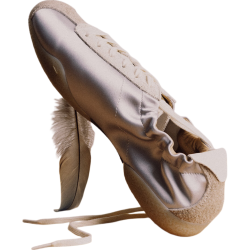 PANE Sterling 5342 德训鞋 银色 36