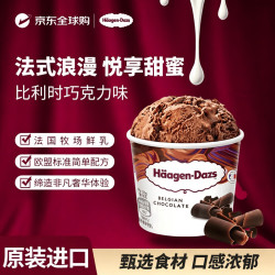 哈根达斯 比利时巧克力口味冰淇淋 460ml