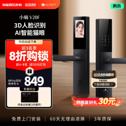德施曼 V20F 指纹密码电子锁