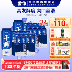 雪花 组合装 啤酒