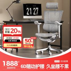 Ergonor 保友 优b雄鹰 人体工学电脑椅 银白网 可旋转可升降扶手