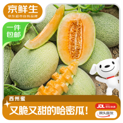 京鲜生 山东哈密瓜西州蜜25号 净重8-9斤2-4粒装 源头直发 净重3斤单果250g+