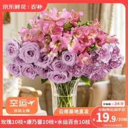 京东鲜花 鲜花玫瑰10枝+随机色康乃馨10枝+六初10枝 30支鲜花七夕节日礼物 源头直发