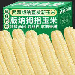 拇指玉米 甜糯玉米 迷你现摘锁鲜 100g*3+30g*2