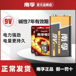 南孚 9V大电池九伏万用表玩具话筒无线麦克风吉他方形干电池通用型