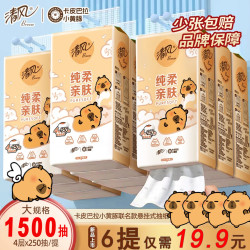 清风 卡皮巴拉联名 抽纸 3层6000张6包