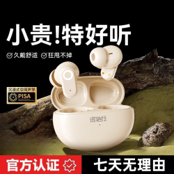 诺必行 降噪 无线蓝牙耳机