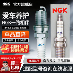 NGK 双铂金火花塞 5758 PZFR6R