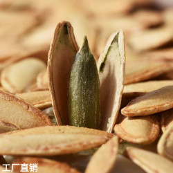 美人甲 长粒南瓜子 1斤 净重