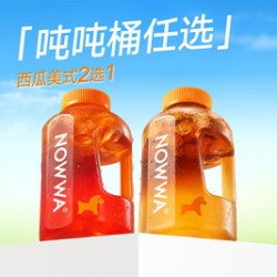 吨吨桶西瓜能量特饮2选1