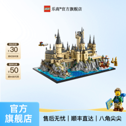 乐高 霍格沃茨城堡和庭院 76419 拼插积木