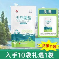 东方海盐 天然湖盐食用盐 260克*10袋+260克*1袋 未加碘