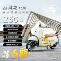 宗申 赛科龙RT3E摩登 250CC水冷复古踏板燃油摩托车 双碟刹ABS米白