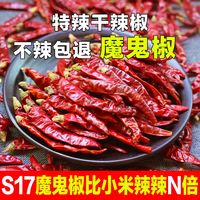 满天星 魔鬼椒红辣椒干 250g