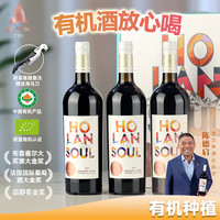 贺兰神 赤霞珠 干红葡萄酒 2019年 750ml