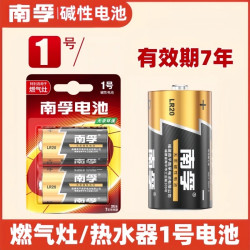 南孚 一号大号电池D型1号燃气灶热水器煤气灶天然气灶专用1.5v碱性