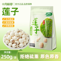 十月稻田 莲子 250g*1袋 干货 去芯磨皮 湘潭白莲子
