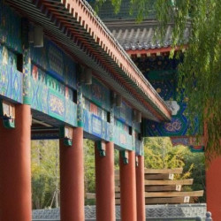 天津生态城希尔顿酒店1晚+天津老味海鲜捞面+老味刨冰+明信片+周边礼+儿童乐园畅玩