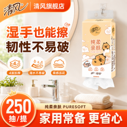 清风 卡皮巴拉挂抽 家用大包实惠纸巾 1000张