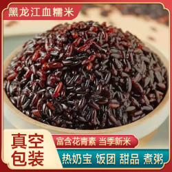 永祥龙 黑龙江血糯米东北江米奶茶杂粮酿酒新米大米包粽子精选紫米