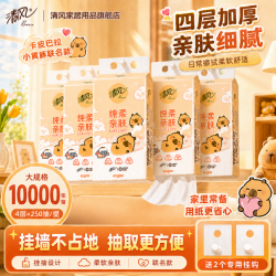 清风 悬挂式抽纸 2500抽10提(200*130mm)