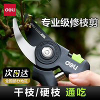 得力 工具剪枝修枝剪刀果树园林园艺修剪树枝实用日常用品
