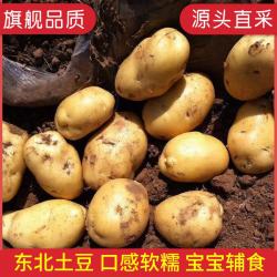 牛爱鲜 东北土豆净重9斤 源产地直发