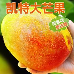 生活＆好管家 凯特芒 净重8.5斤 单果300g+