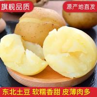 盛觅 黄皮黄心土豆净重9斤