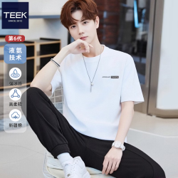 TEEK 夏季高档轻奢短袖t恤男 2026港风新款大学生纯棉凉感抗皱百搭衣服 HB3753白色 L