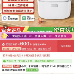 小米 电饭煲P1 4L 三人团
