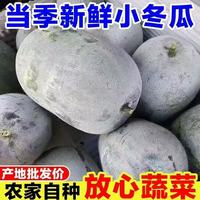 牛爱鲜 小冬瓜带箱4.5-5斤