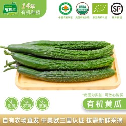 有机汇 山东省 带刺黄瓜 250g/袋