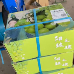 珍田纪 四川西昌 阳光玫瑰葡萄 3斤