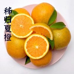秭橙贡 湖北秭归夏橙 5斤 55mm-65mm