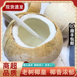 歌慕 泰国进口牛奶椰皇椰子新鲜当季水果椰青老椰子汁肉椰奶烤椰包邮