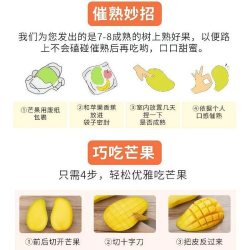 无品牌 四川攀枝花凯特芒果 4.5斤