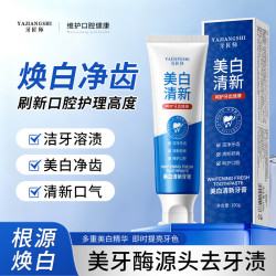 牙匠师 美白清新牙膏 100g*1支