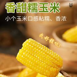 佟创 东北黄糯玉米新鲜糯甜玉米棒 代餐轻食真空包装玉米生鲜  东北黄糯玉米150g*10段