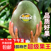 攀枝花凯特芒果软糯香甜应季水果当季整箱 净重8.5-9斤 优选单果300g起