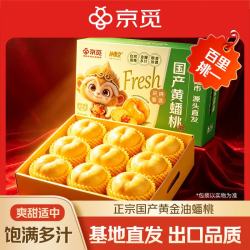 京觅 &孙悟空陕西黄油蟠桃子净重2斤单果100g+新鲜当季水果源头直发