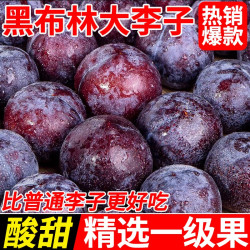 农果淳 新鲜黑布林大李子现摘当季水果黑新鲜应季酸甜脆李黑宝石黄肉李子