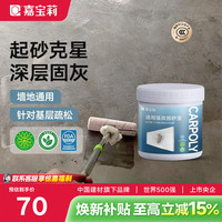 嘉宝莉 全效固砂宝 5kg