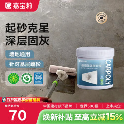 嘉宝莉 全效固砂宝 5kg